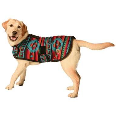 If your pup wants a bit more color in his wardrobe: Chilly Dog Desert Rose Blanket Dog Coat