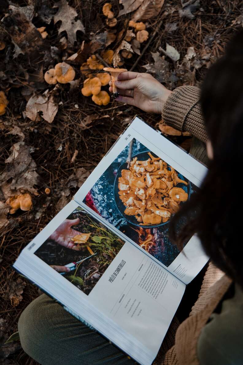 person holding book and foraging mushrooms