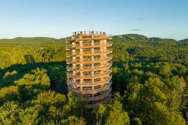 tower in forest