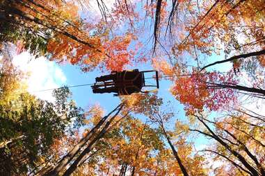 couple riding on a suspended bicycle through forest
