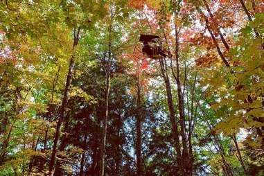 suspended bicycle in forest