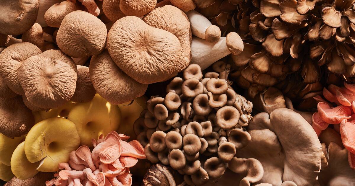 How to Find, Cook, and Love Mushrooms - Thrillist