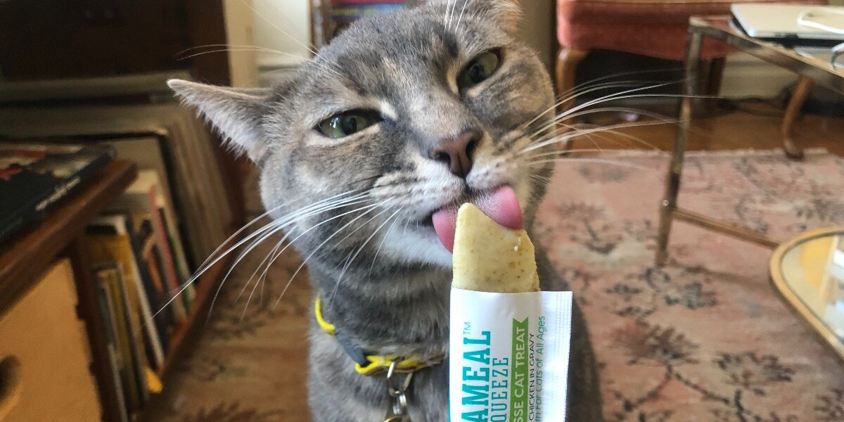 6 Lickable Cat Treats Your Kitty Will Ask For Again and Again