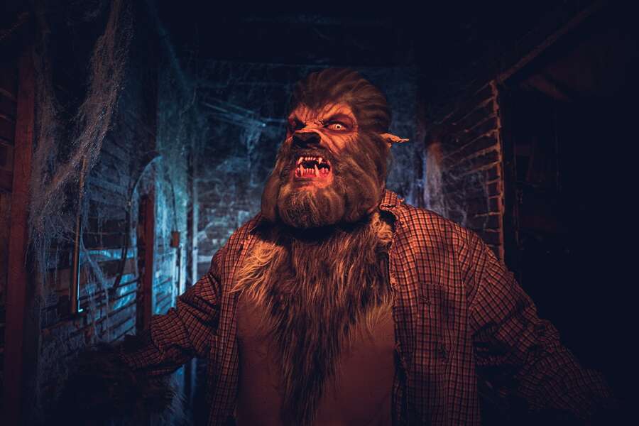 Best Dallas Halloween Parties and Events in 2022 Halloween Things to