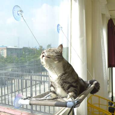To help your indoor cat soak up the great outdoors: PEFUNY Cat Window Perch