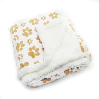 This blanket has “dog” written all over it: HappyCare Textiles Soft Flannel Dog Blanket
