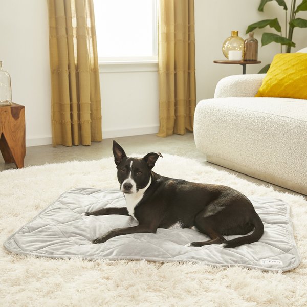 Rajahubri Dog Throw Blanket - Ultra Soft Flannel Fleece Blanket With Cute Dog Patterns, 60x80 Inches - View #5