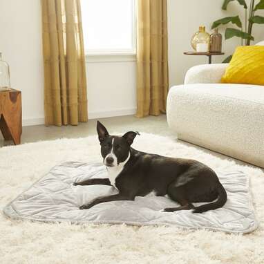 If your dog gets hot easily: PetFusion Microplush Quilted Dog Blanket