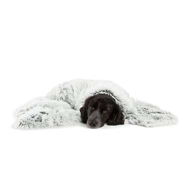 For luxurious pups: Best Friends by Sheri Shag Throw