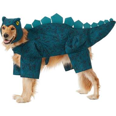 This stegosaurus costume with a near-perfect rating from dog parents: Frisco Stegosaurus Dinosaur Dog Costume