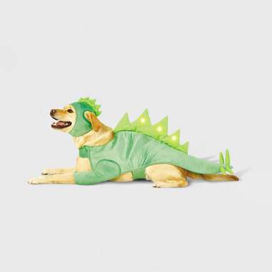 This stegosaurus costume with built-in LED lights: Hyde & EEK! Boutique LED Stegosaurus Dinosaur Dog Costume