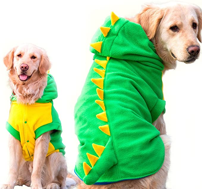 T rex outlet dog costume