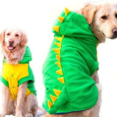 This cozy hoodie that doubles as a Halloween costume: FLAdorepet Dog Dinosaur Costume