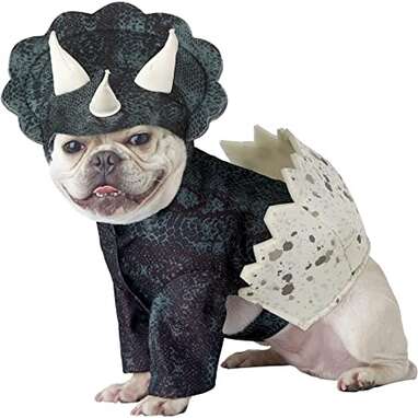 This triceratops headpiece with horns: California Costumes Pet Triceradog Costume