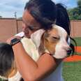 Stray Dog Who Couldn't Stand Up Gives Rescuer Biggest Hug When She Starts To Feel Better