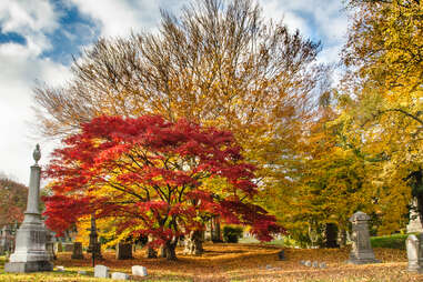 Green-Wood Cemetery