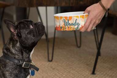 Eating just got more festive: Pumpkin Spice Coffee Latte Autumn Fall Pet Bowl