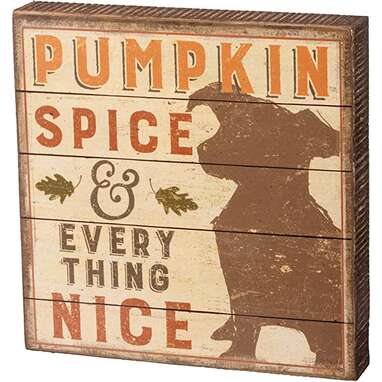 Spruce up the house with this fall-loving message: Pumpkin Spice Sign