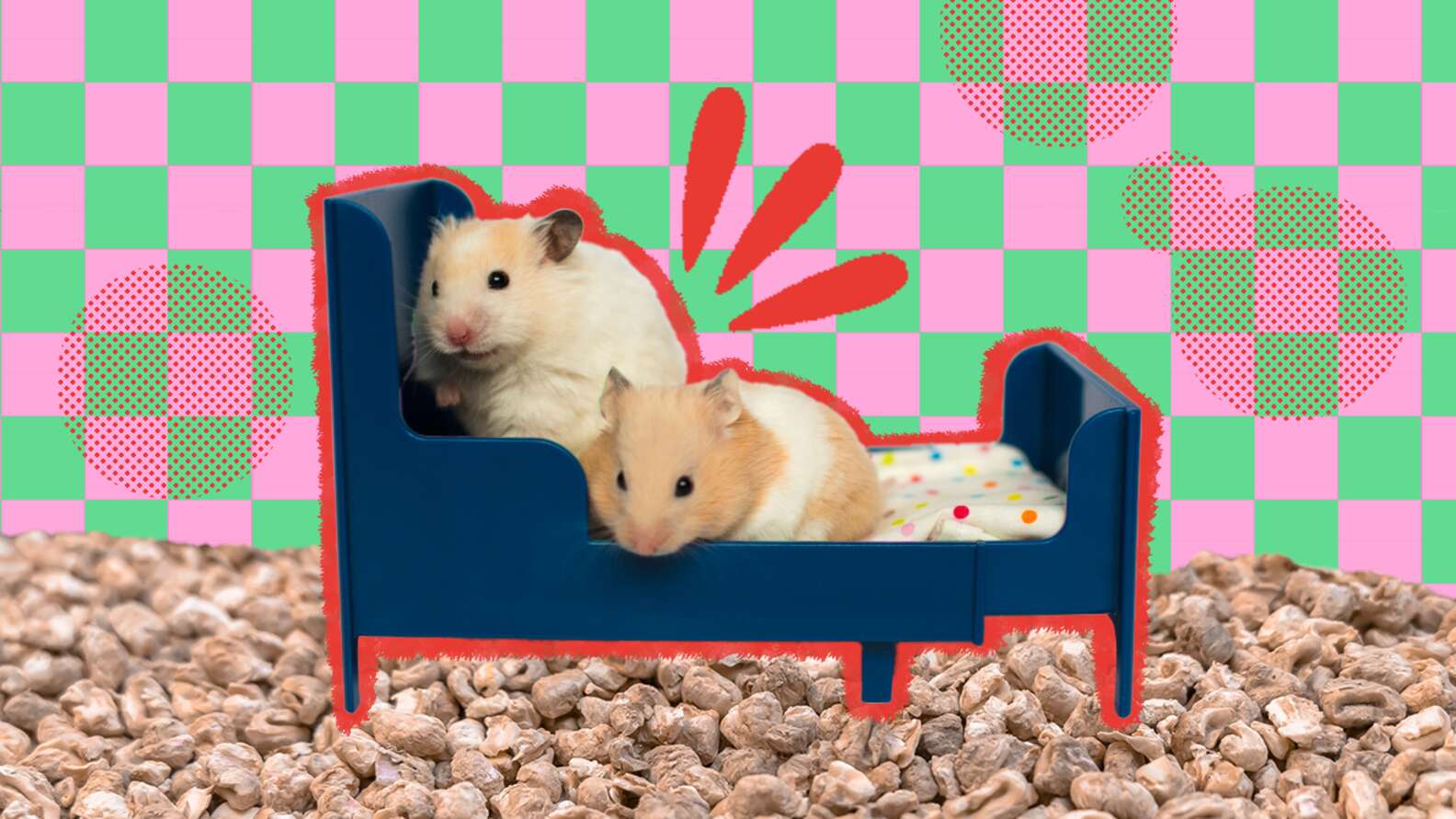 Beautiful view of Hamster Safe Bedding