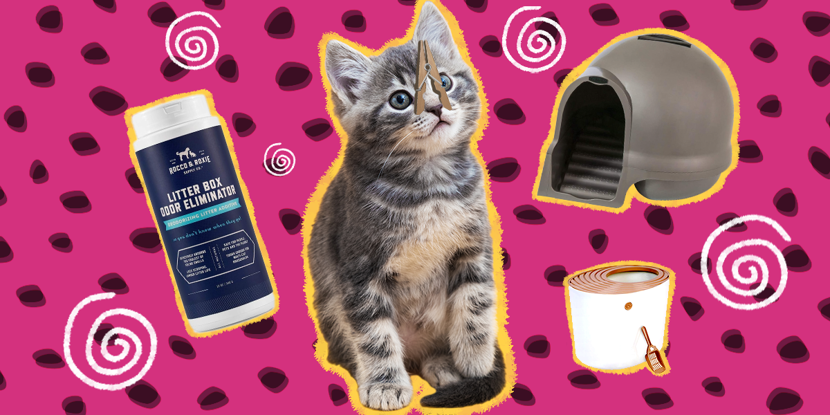 7 Litter Boxes And Accessories For Cat Lovers Who Hate Unpleasant ...