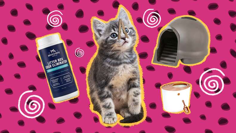 products for cat lovers who hate litter boxes