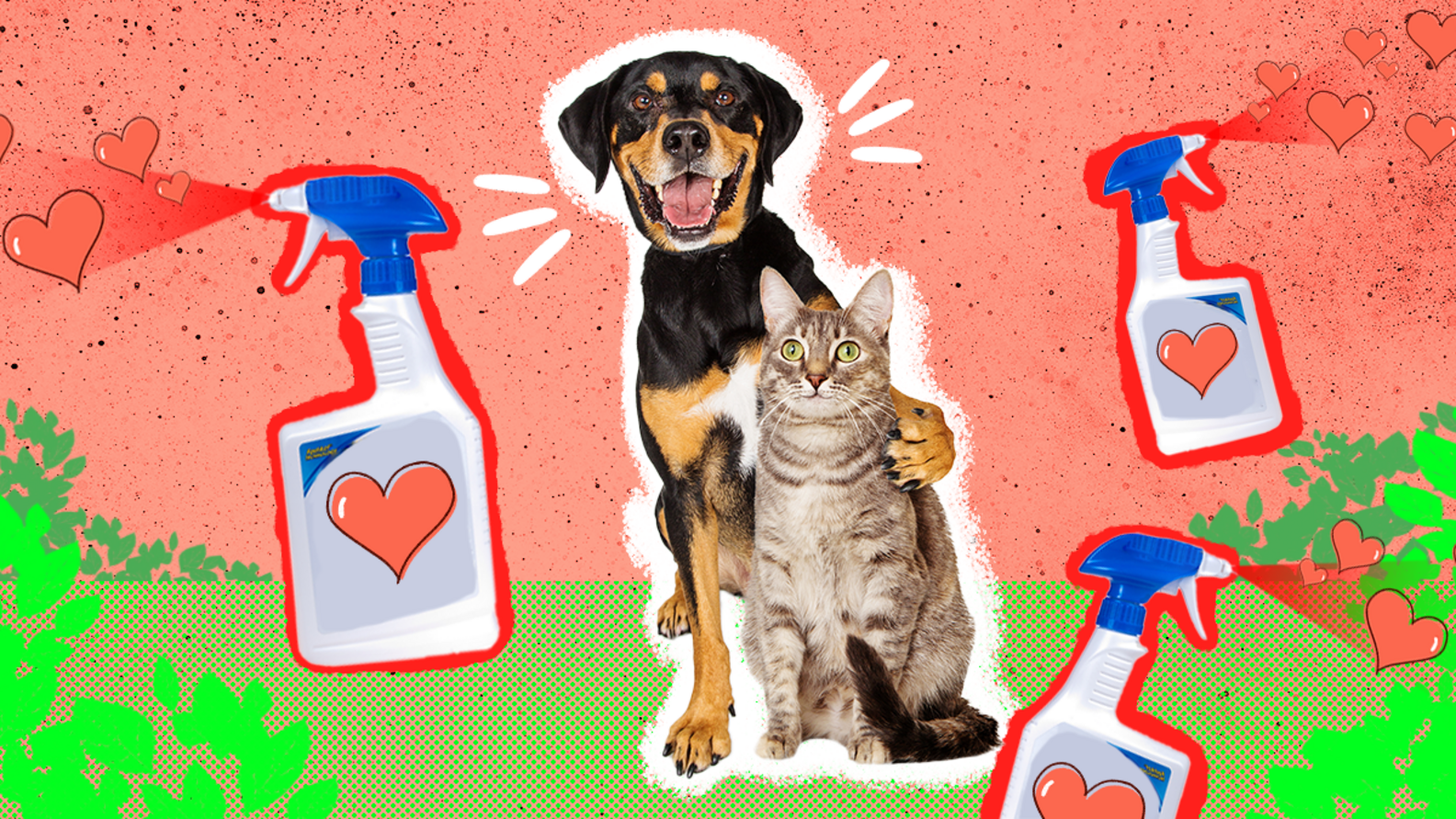 PetSafe Weed Killer The 3 Best Options, Plus What To Look For And Avoid DodoWell The Dodo