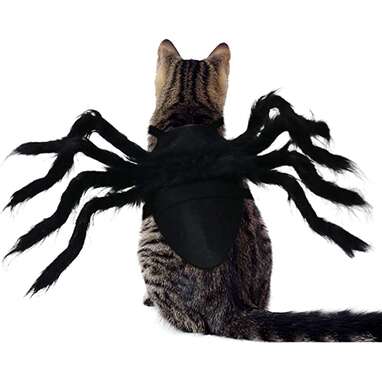 A costume that gives your cat a few extra legs to stand on: Rypet Cat Spider Costume