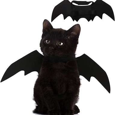 A costume that brings out your black cat’s inner (loveable) demon: Puoyis Cat Bat Wings