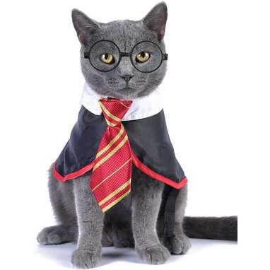 The perfect outfit for your cat if she got a letter from Hogwarts: Impoosy Cat Wizard Costume