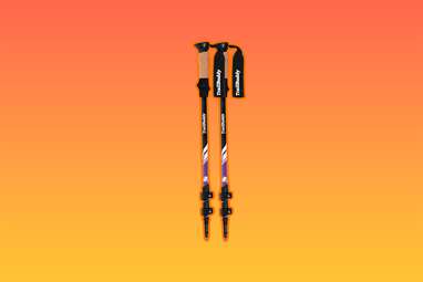 TrailBuddy Trekking Poles