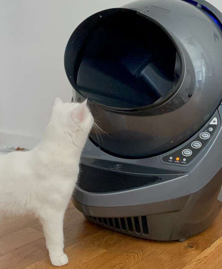 Litter robot in clearance stores