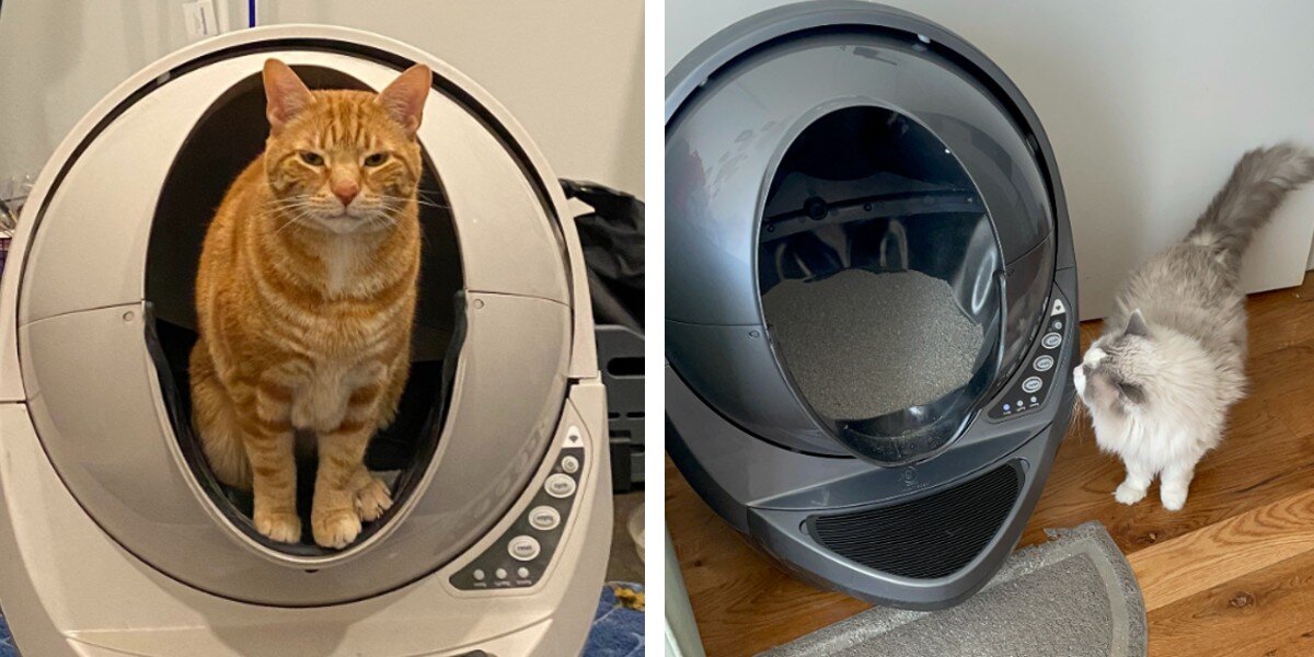 litter robot not recognizing cat