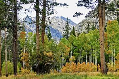 June Lake