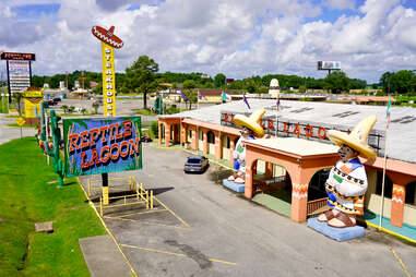 reptile lagoon sign