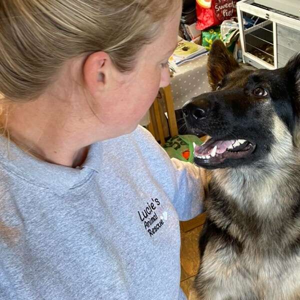 dog looking at woman