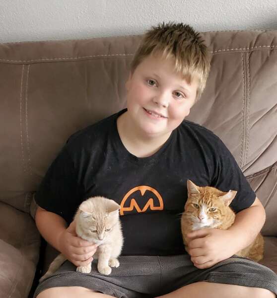 boy sits with two cats 