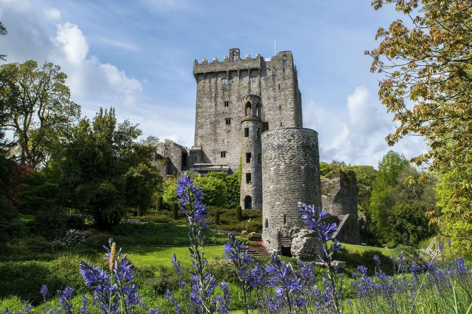 Photo courtesy Blarney Castle and Gardens / Fáilte Ireland