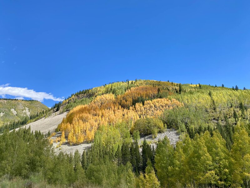 Denver Spring Fall Where to See Fall Foliage and Changing Leaves Near Denver - Thrillist