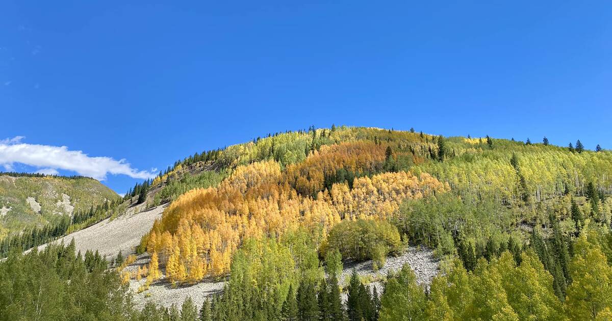 When Will Colorado See the Beautiful Fall Colors Change in 2023?