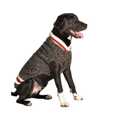 For the preppy pup: Chilly Dog Boyfriend Dog Sweater