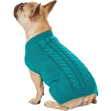 Dog Sweaters: Fashionable And Toasty Warm Knitwear For Fall And