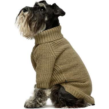 sweater for dogs