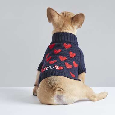 Spread the love: Mark and Graham Love Knit Dog Sweater