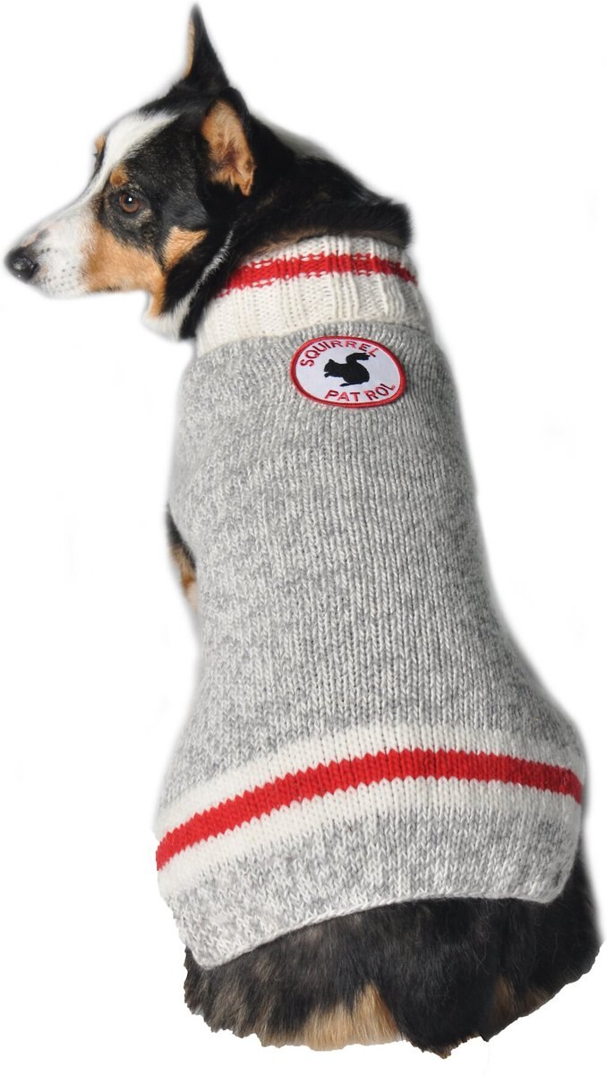 Best dog sweaters outlet for winter