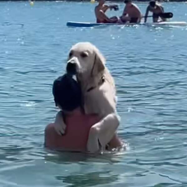dog holds man in water