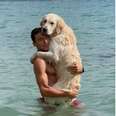 Dog Insists On Cuddling Dad In Water For The Sweetest Reason
