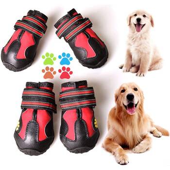 Dog Shoes, Dog, Dog Pink And Blue Zip Up Velcro Shoes