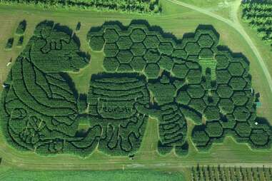 aerial view of winnie the pooh corn maze design