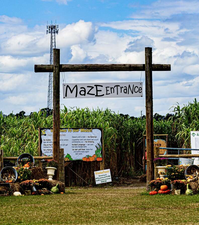 maze entrance