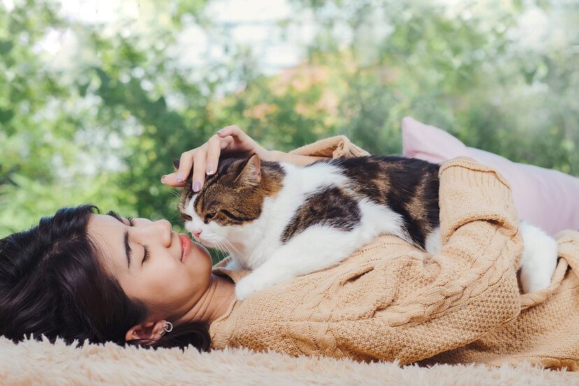 The Benefits Of Giving Pets Routines - The Dodo